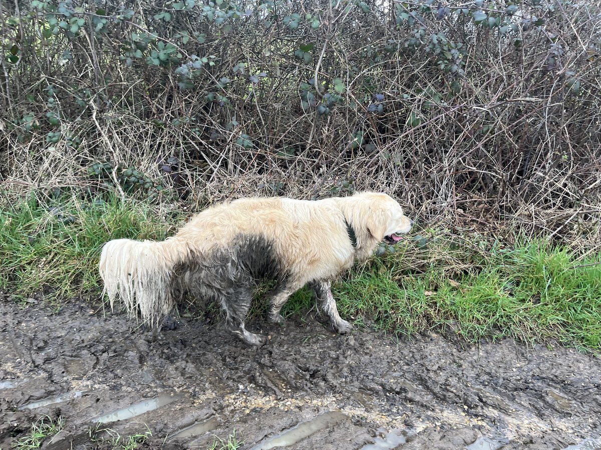 Dr Emma Kell FCCT tweet media