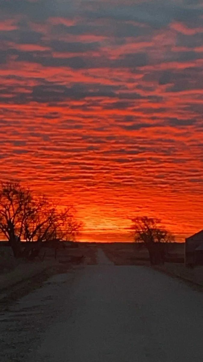 CoryMann74's tweet photo. Thought I’d share this from this morning!! https://t.co/Tvyy2nKxpa