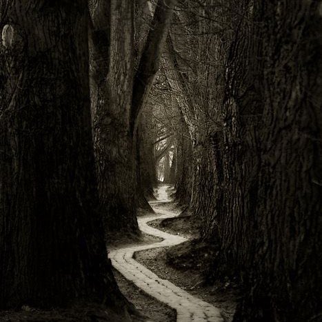 Needing Proof to be successful

The greatest wins of my life

Have been when i’ve thrown myself in the deep end

With no real idea of what i’m doing

Not  knowing exactly where i’m going

But each small step gave me a clue on where next to go

This is the beauty of life

If you