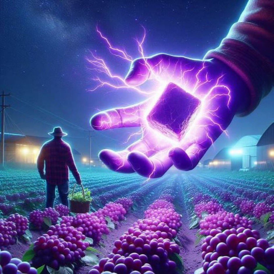 Berry Black tweet media