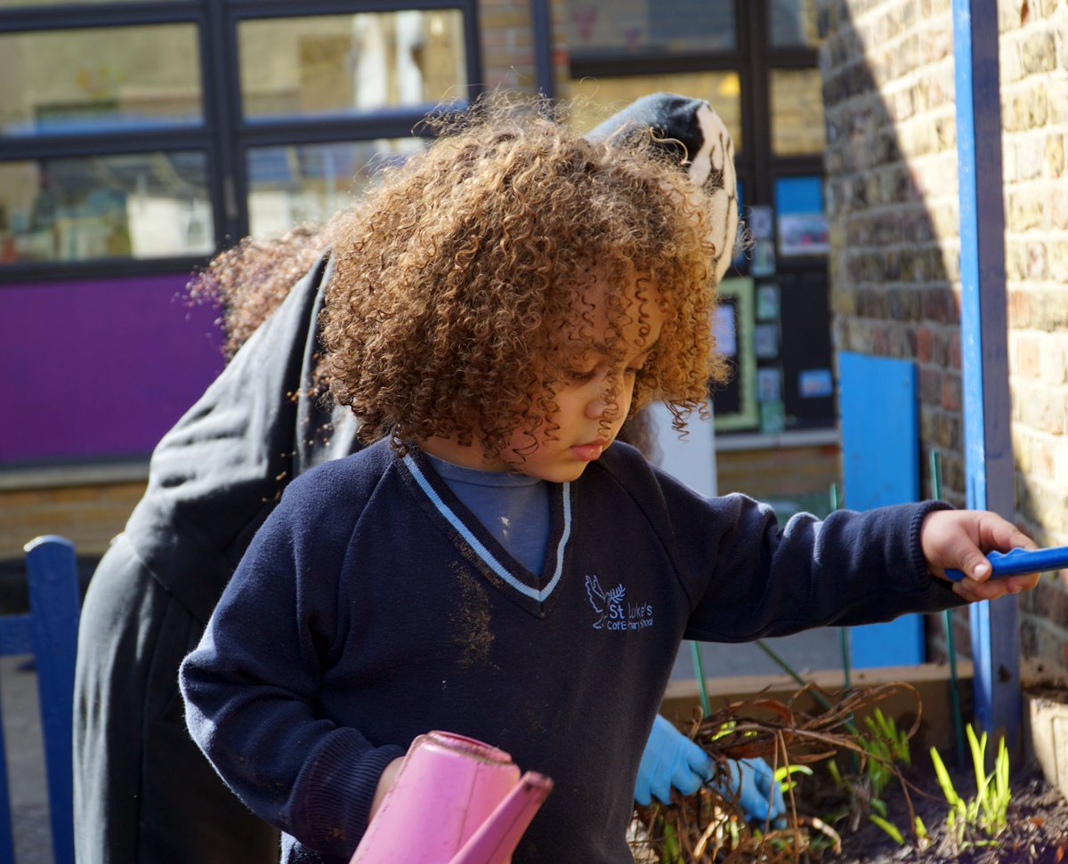 StLukesCESch's tweet photo. When fully grown, our new willow enclave will create a small shaded space in our #naturalthinkers #outdoorlearning area, which has three seated areas and tunnel. We are looking forward to all our learners using this space. Nursery were out weeding their and Reception's planters. https://t.co/xKS8fERerM