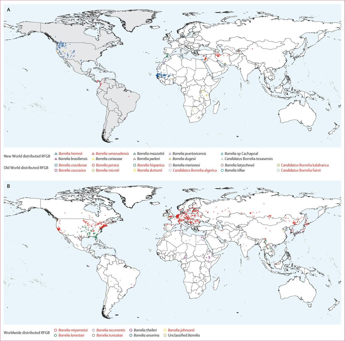 LonnieRhea's tweet photo. Relapsing fever group Borrelia (RFGB) is SO under appreciated. Borrelia miyamotoi presents more like Lyme and is transmitted my the same tick. But look at the West coast! How many patients were denied treatment because we don't test for RFGB? I mean LOOK at the B. hermsii 👀 https://t.co/VZ9mHeEs9w