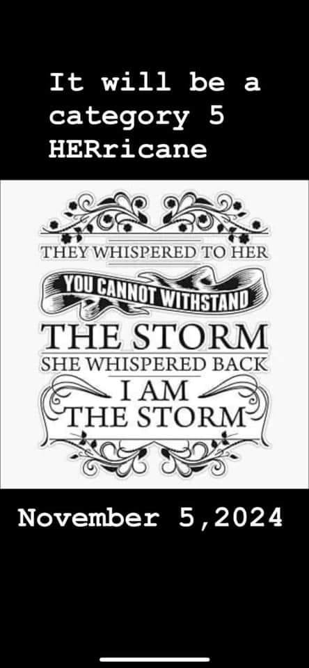 JamesTate121's tweet photo. I am down for a #HERicane in November of 2024.
VOTE BLUE! 💙🌊💙🌊💙🌊💙🌊💙🌊 https://t.co/qYe0oxdA6D