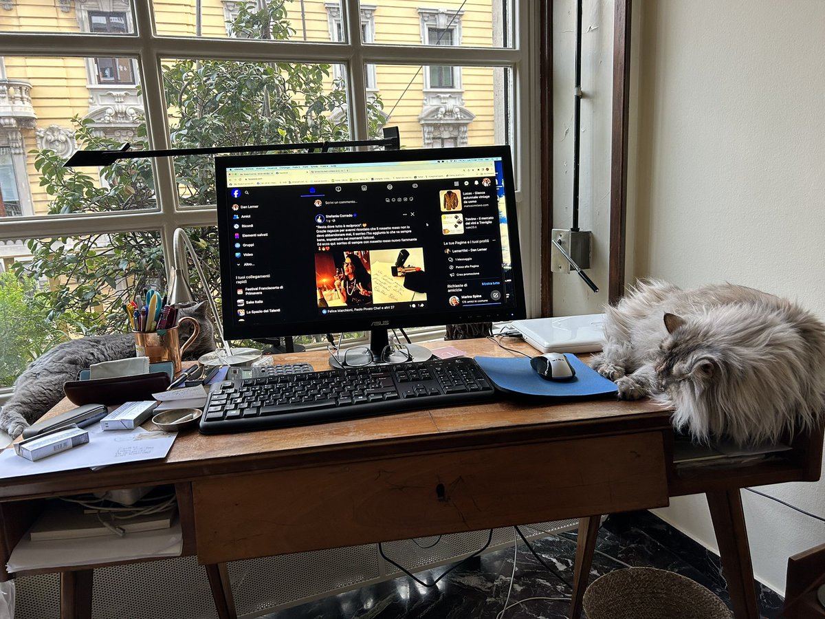 Si lavora anche di domenica, con la preziosa assistenza dei due fedeli assistenti 😘 #Blu #Etta #LernerVini