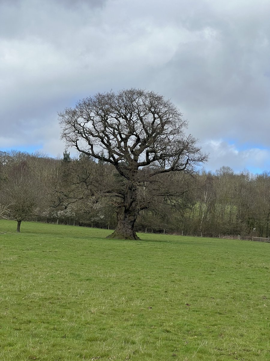 BerwynMountaineering tweet media