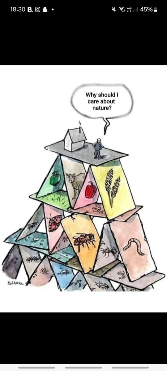 Save_Kilvey_Hill tweet media