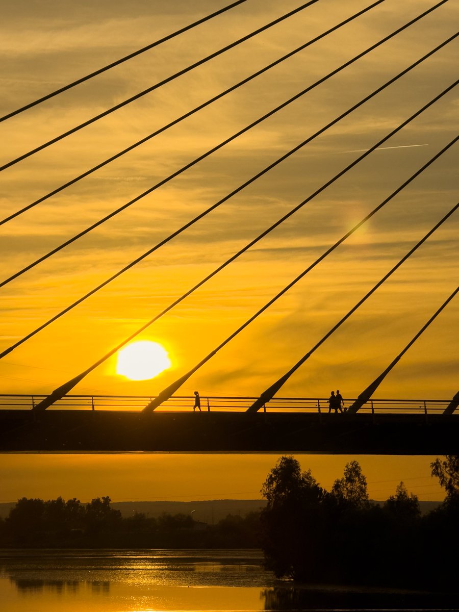 Ha caído otro paseo por la tarde…
🙂‍↔️