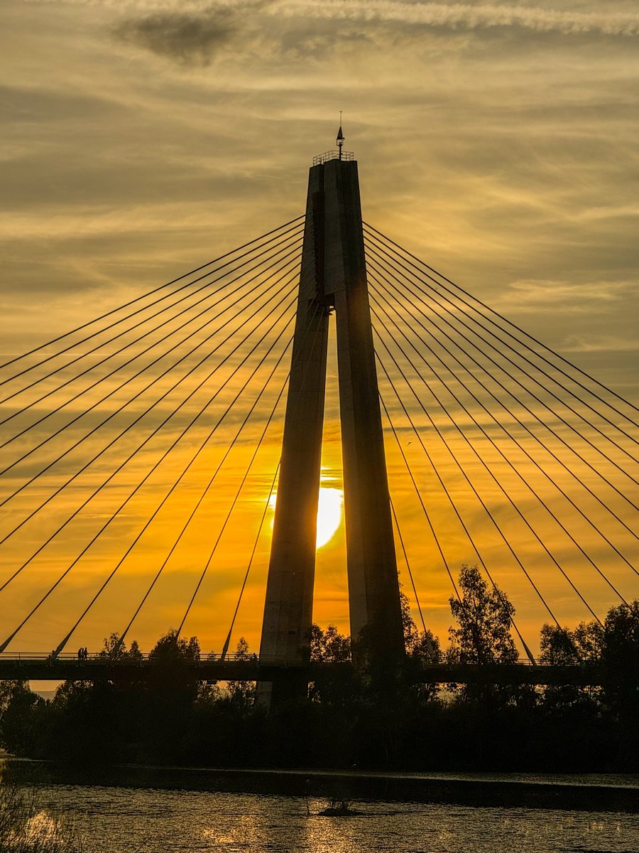 Pablo Estévez tweet media