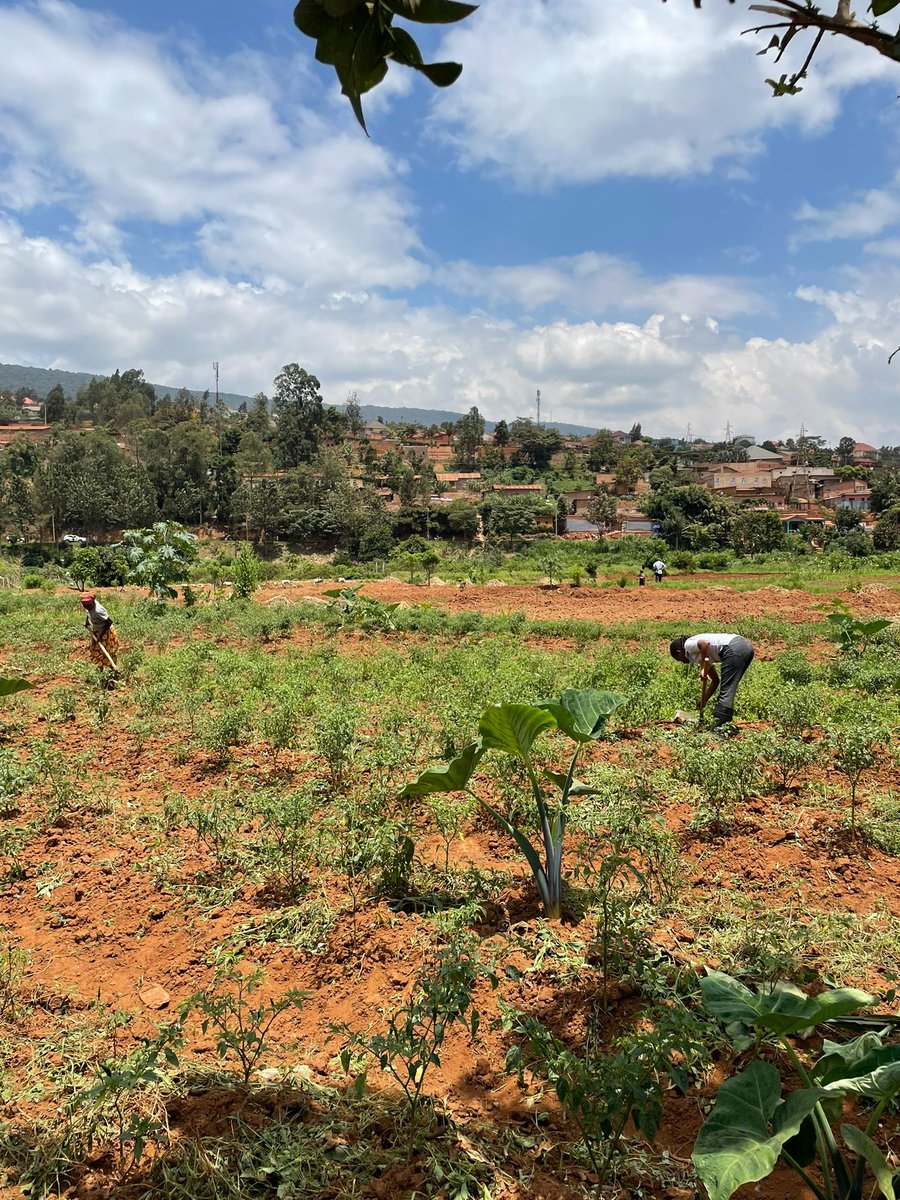 Karolin Andersson tweet media