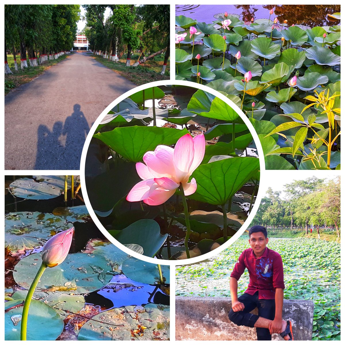 aongkonbd's tweet photo. ভ্রমণ: গাজীপুরের পদ্মপুকুর।
#steem
#steemit
$steem
#traveling
#writing
@abbcommunity @steemit
#steemitblog
#steemitlife

https://t.co/otqoNcM0qw https://t.co/Y7B5lgHuV1