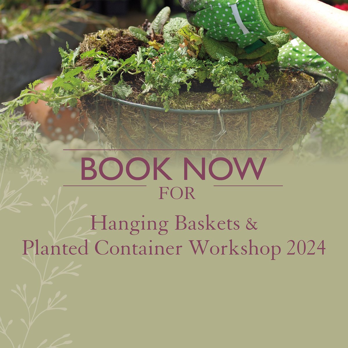 allotmentonline's tweet photo. Dates for your diary! @Hilliergarden are holding Spring hanging baskets and container planted workshops on 14th, 15th, 16th and 18th May at selected garden centres with two creations to bring home and a cream tea 😋
https://t.co/A59JPBrOQV
#containerplanting #hangingbaskets #plantyourown #gardenworkshops