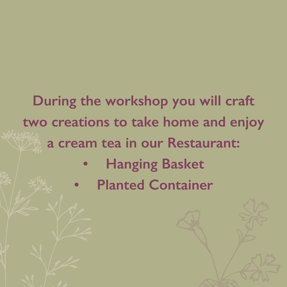 allotmentonline's tweet photo. Dates for your diary! @Hilliergarden are holding Spring hanging baskets and container planted workshops on 14th, 15th, 16th and 18th May at selected garden centres with two creations to bring home and a cream tea 😋
https://t.co/A59JPBrOQV
#containerplanting #hangingbaskets #plantyourown #gardenworkshops