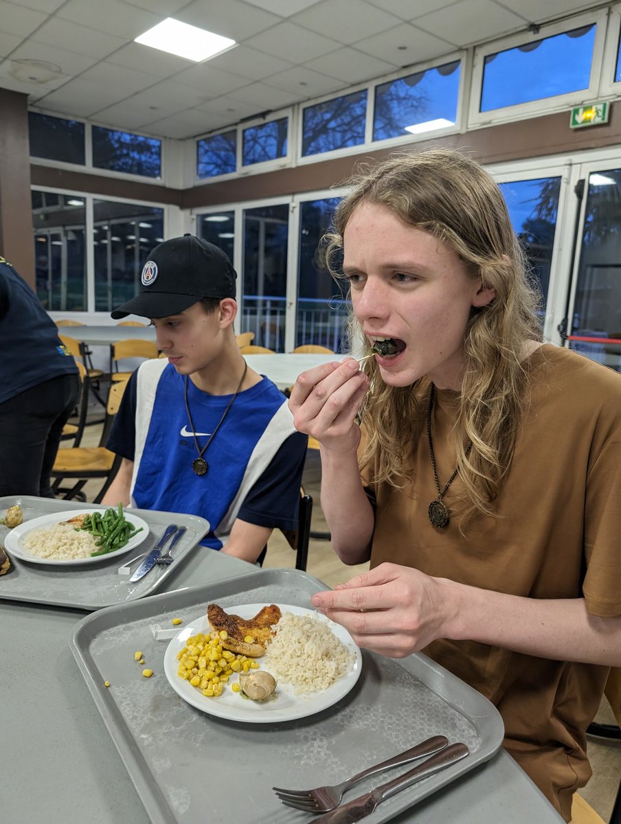 MCAlanguages_'s tweet photo. A long day at Disneyland had a few of our students moving at a snails pace at dinner this evening ......... 🐌🍴🐌 #snailedit https://t.co/zM1zwzqbeb