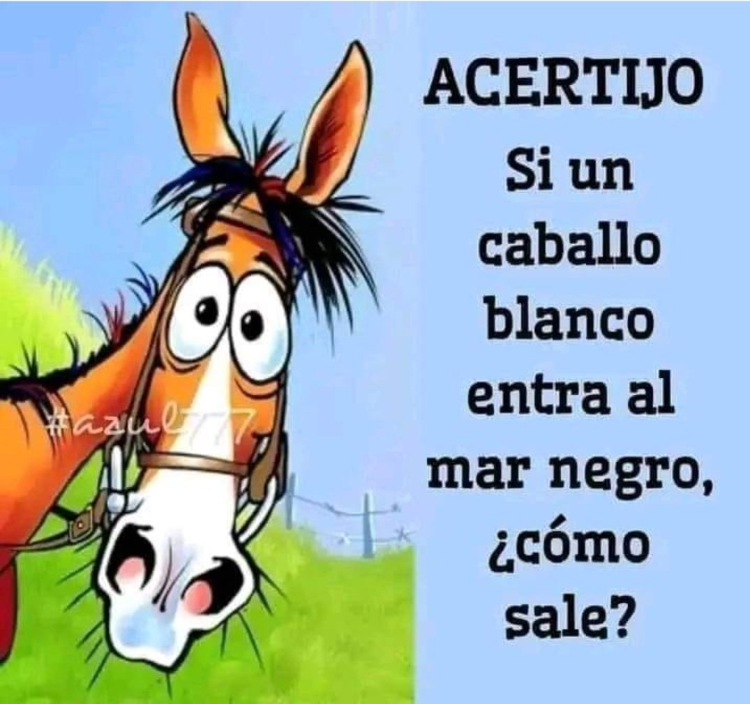 Suricato 💎 tweet media
