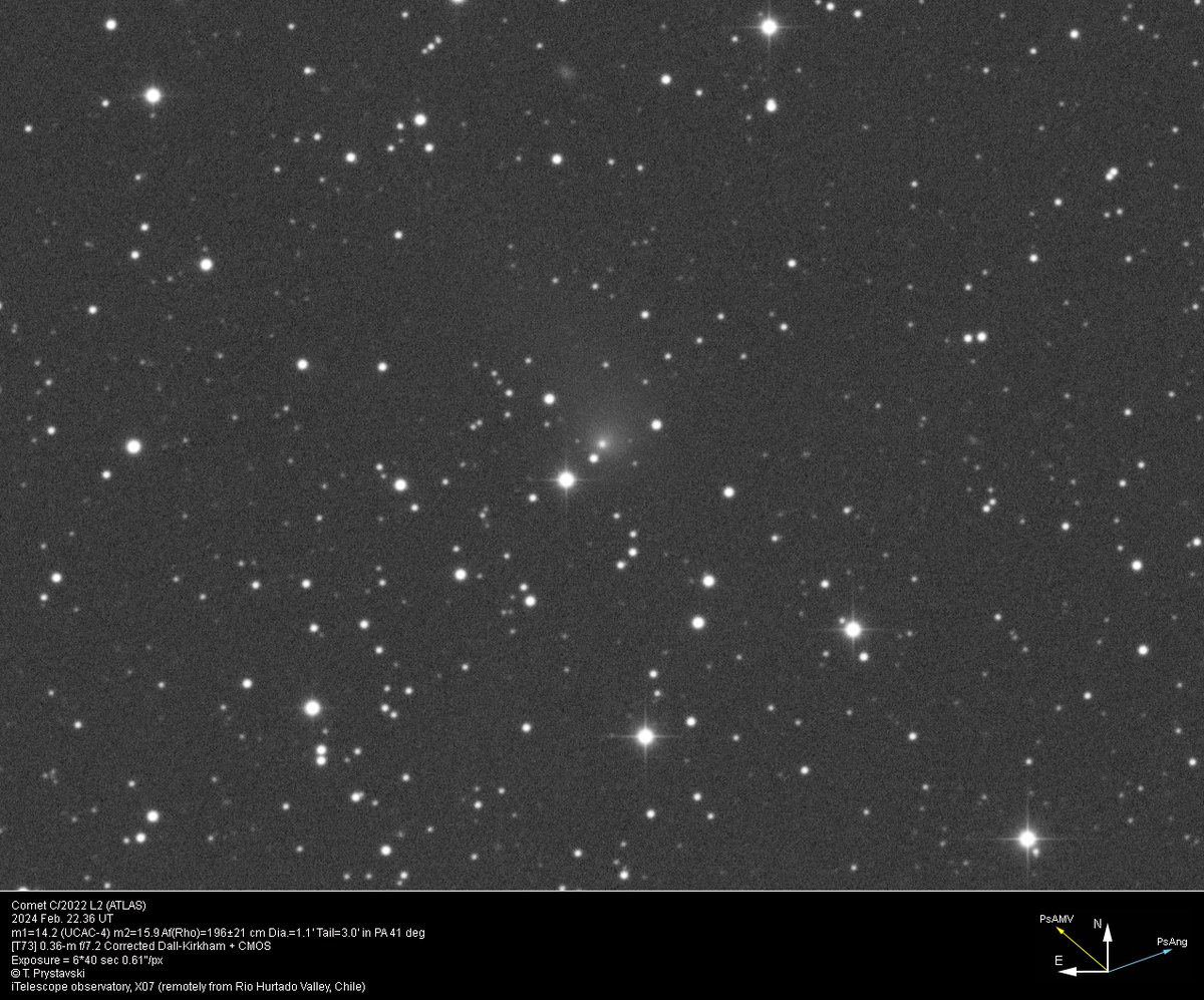 Comet C/2022 L2 (ATLAS) 2024 Feb. 22.36 UT m1=14.2 (m2=15.9) Dia.=1.1' Tail=3.0' in PA 41 deg... [T73] 0.36-m f/7.2 Corrected Dall-Kirkham + CMOS... T. Prystavski... (iTelescope observatory, X07 (remotely from Rio Hurtado Valley, Chile))