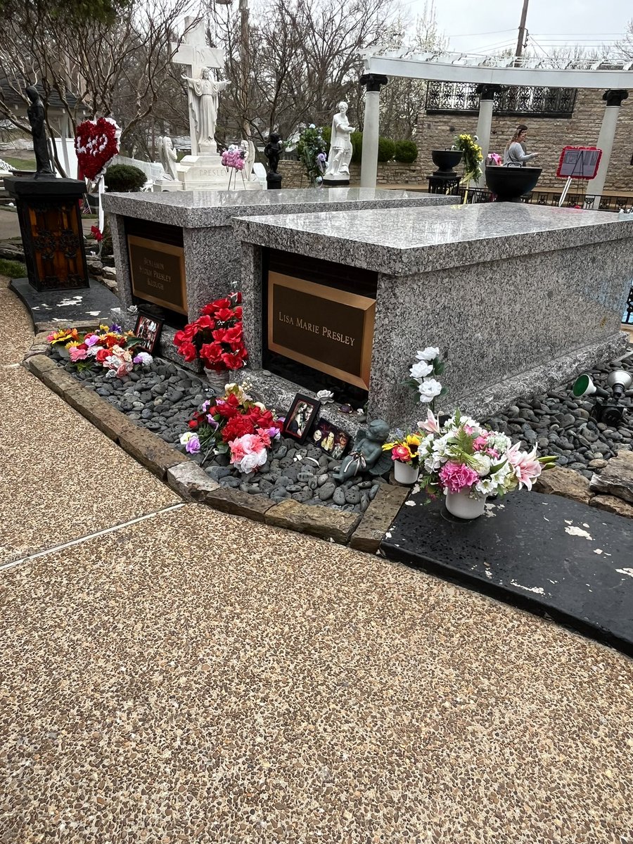 Jill Winstanley ☘ 💚 (@jillwin66) on Twitter photo 