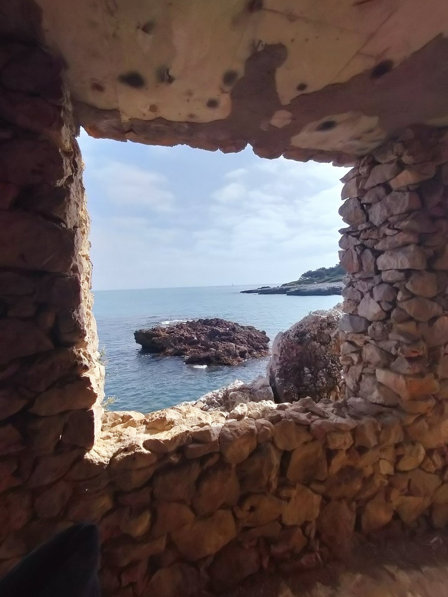 JeanMarieGHIBAU's tweet image. 17 mars 2024...
Cap d&apos;Antibes, 16°C

#CapDAntibes #CoteDAzurFrance #FrenchRiviera