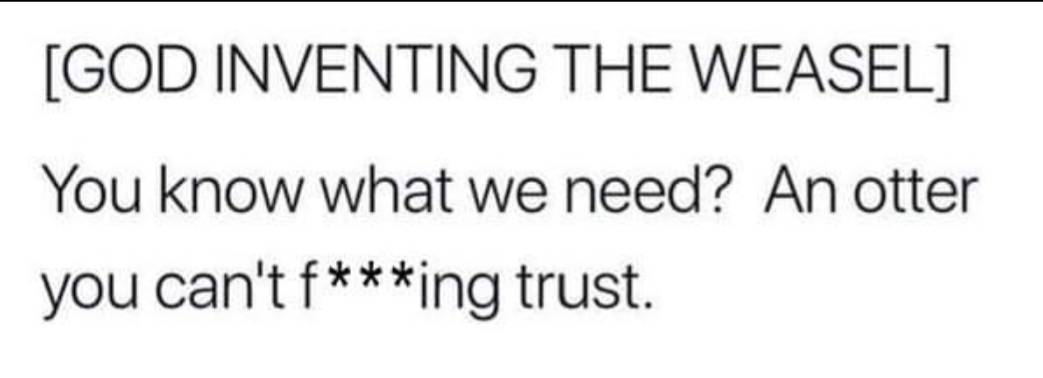 In Otter News.... (@in_otter_news2) on Twitter photo 