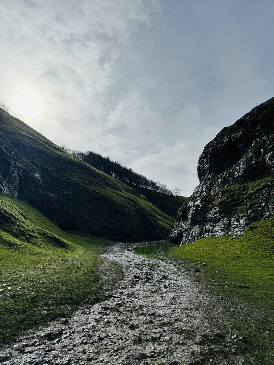 Dom Fenner tweet media