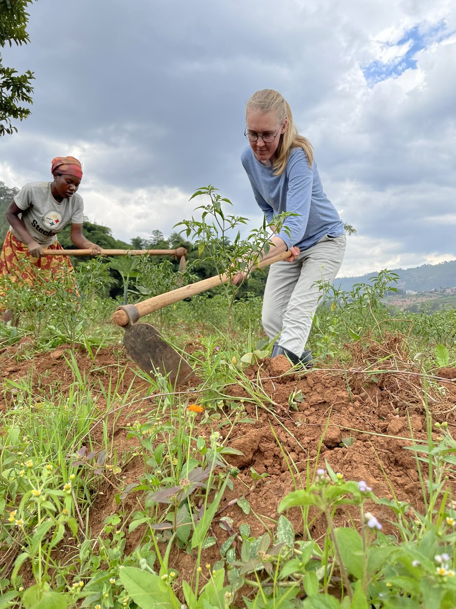 Karolin Andersson tweet media