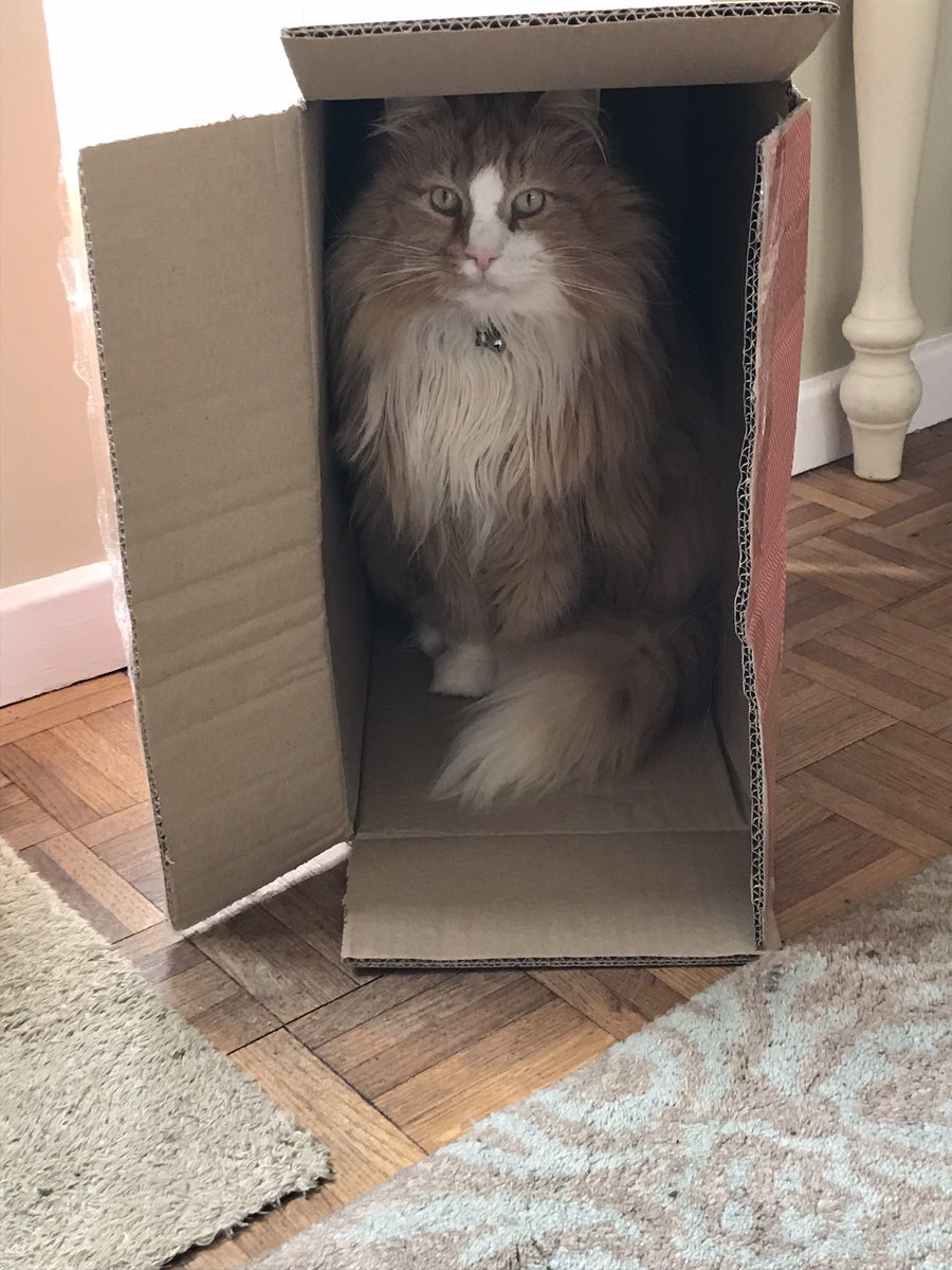 JSPR1's tweet photo. @Concraigsmith It’s a box thing! https://t.co/dZE5YJg1Vs