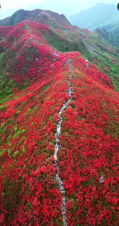 Nature is so beautiful and peaceful.