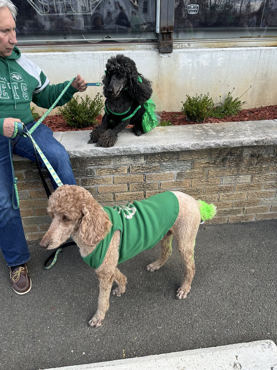 Green tails..Happy St Patrick’s day