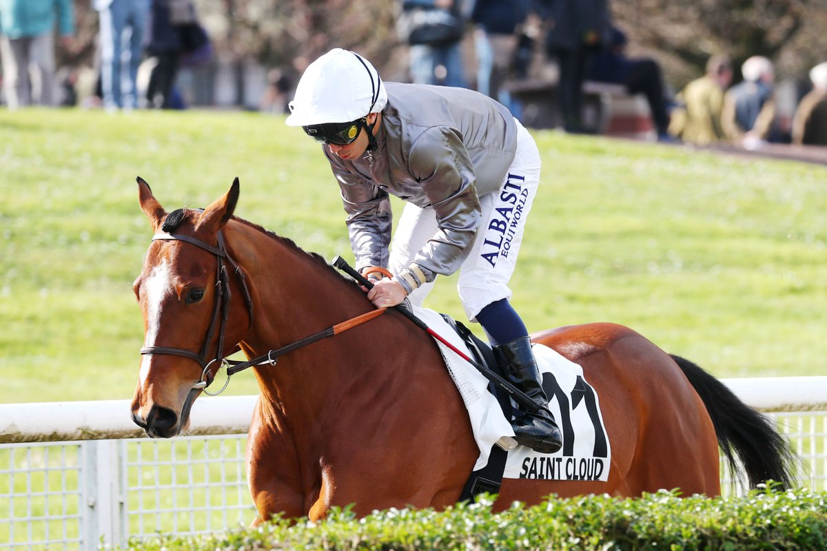 Thank you @GraffardRacing for supplementing our fearless Cartimandua for a maiden, ten days after her debut 2nd at Saint-Cloud, and bravo @pasquito60 for a fine ride. Definitely some St Patrick's day luck for me today 🍀 (Pictured here by @AprhChantilly at Saint-Cloud). 🍾🍾