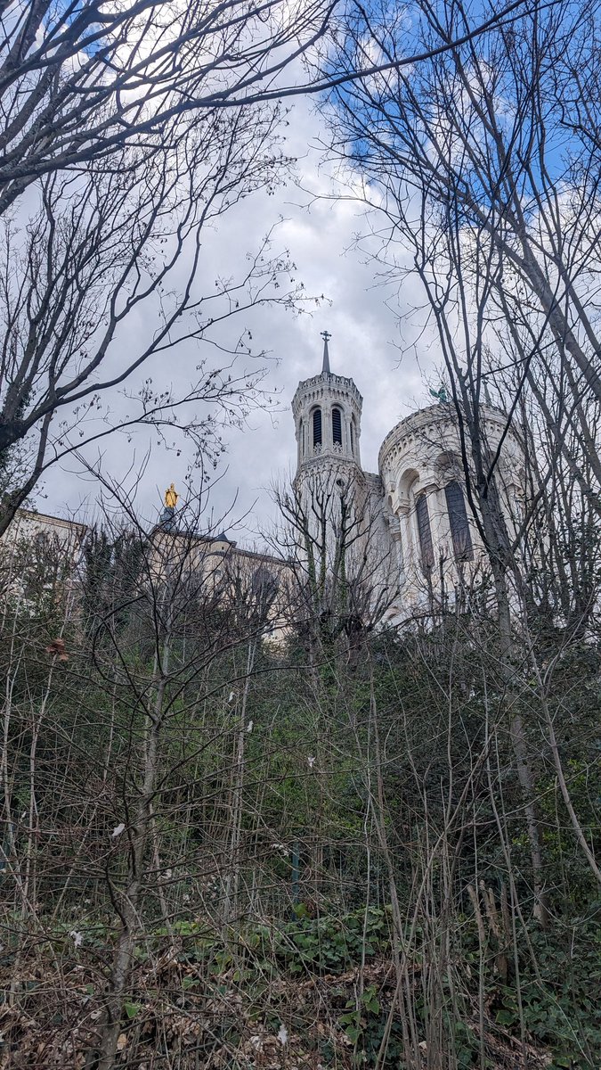 Danielle Meredith tweet media