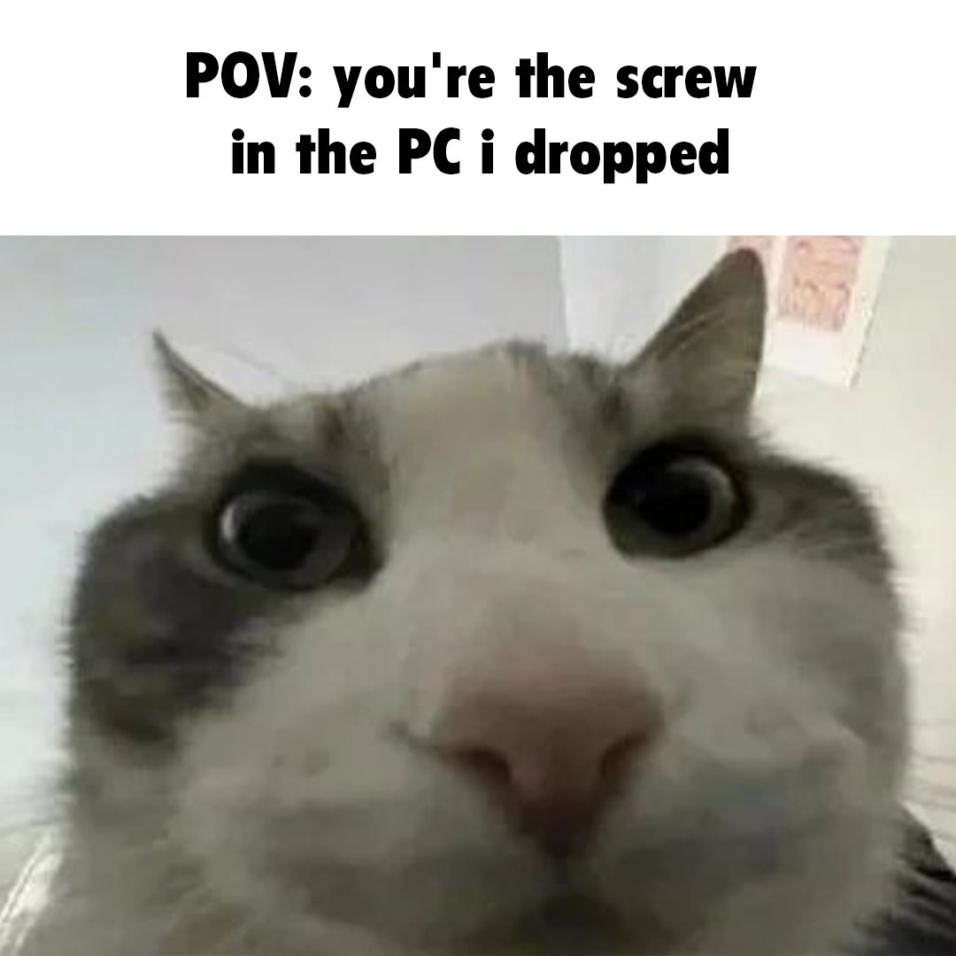 Linus Tech Tips (@linustech) on Twitter photo 