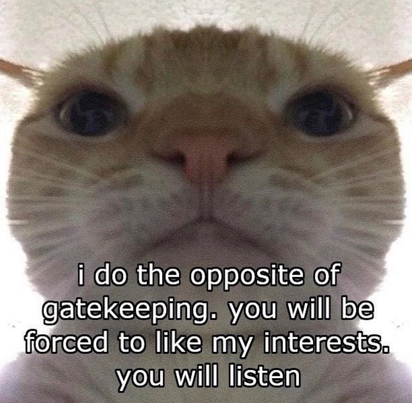 Punch Cat (@punchingcat) on Twitter photo 