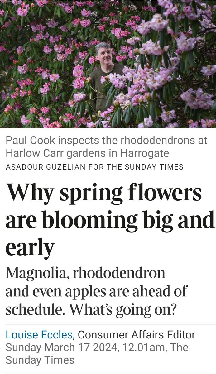 Interesting article on why seeing early blossom & flowers this spring with quote via #Harrogate's own @vpcook from @RHSHarlowCarr. thetimes.co.uk/article/7e8f24…