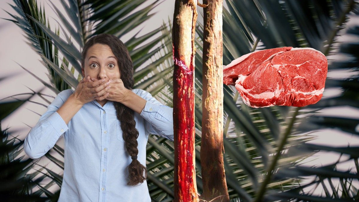 Tradiciones de Semana Santa que se han perdido buff.ly/3PrApiZ