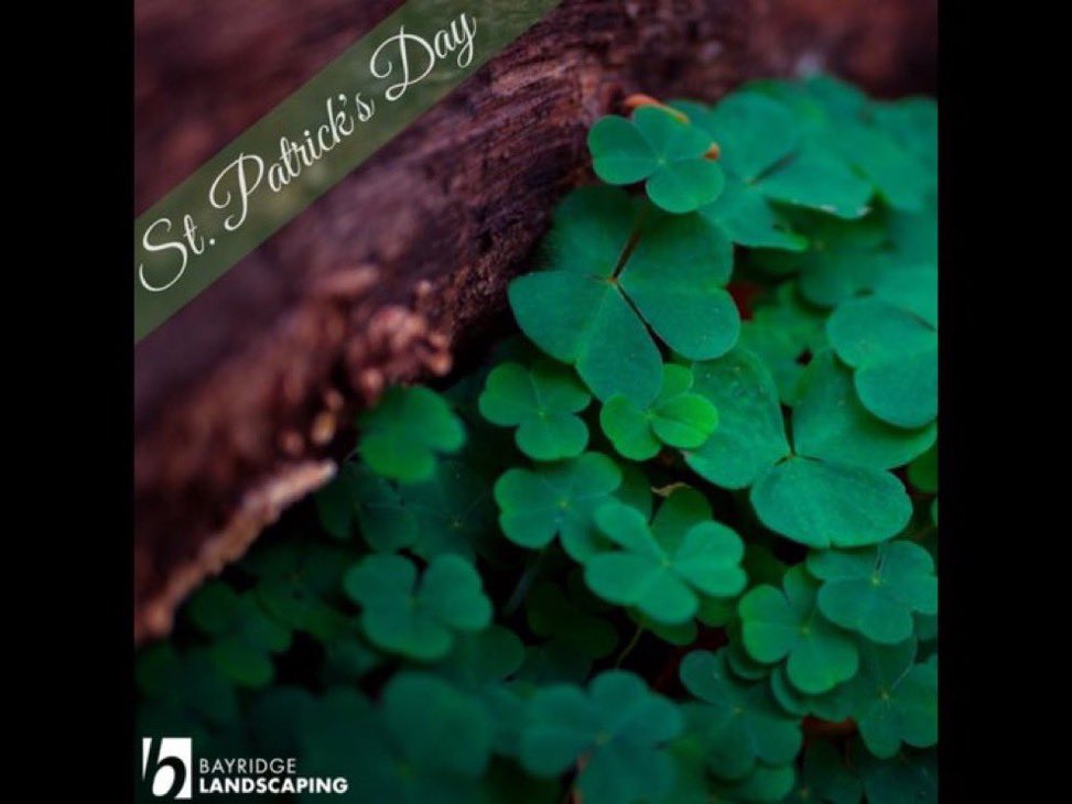 Happy St Patrick’s Day!!!!!