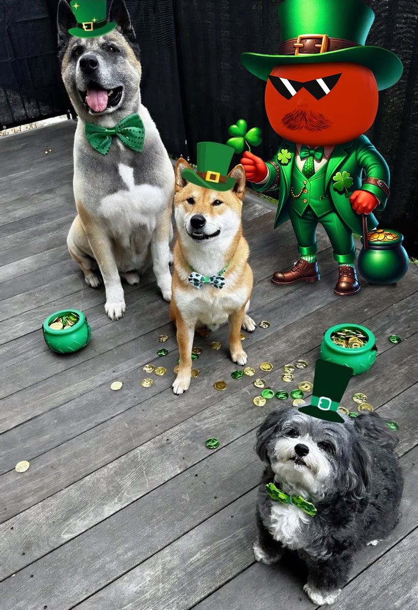<a href="/elonmusk/">Elon Musk</a> TOM wishes your dogs a Happy St. Patrick's Day! 💚