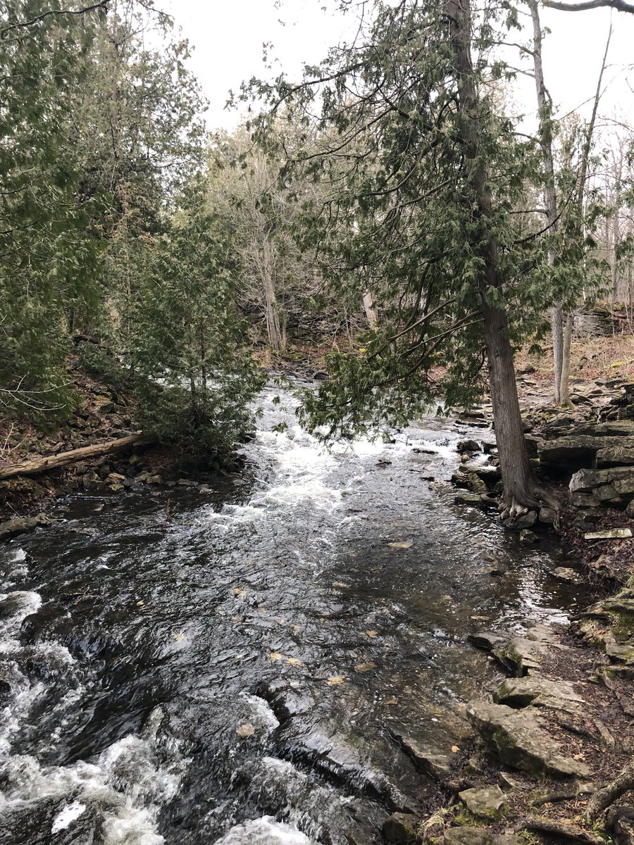 Today I saw: Wildlife saved by conservation @ONresources Lands protected by conservation @BruceTrail_BTC Waters made cleaner by conservation @ConservHalton Conserving nature can be arduous & frustrating but at its core their should be joy that we are creating a better future.