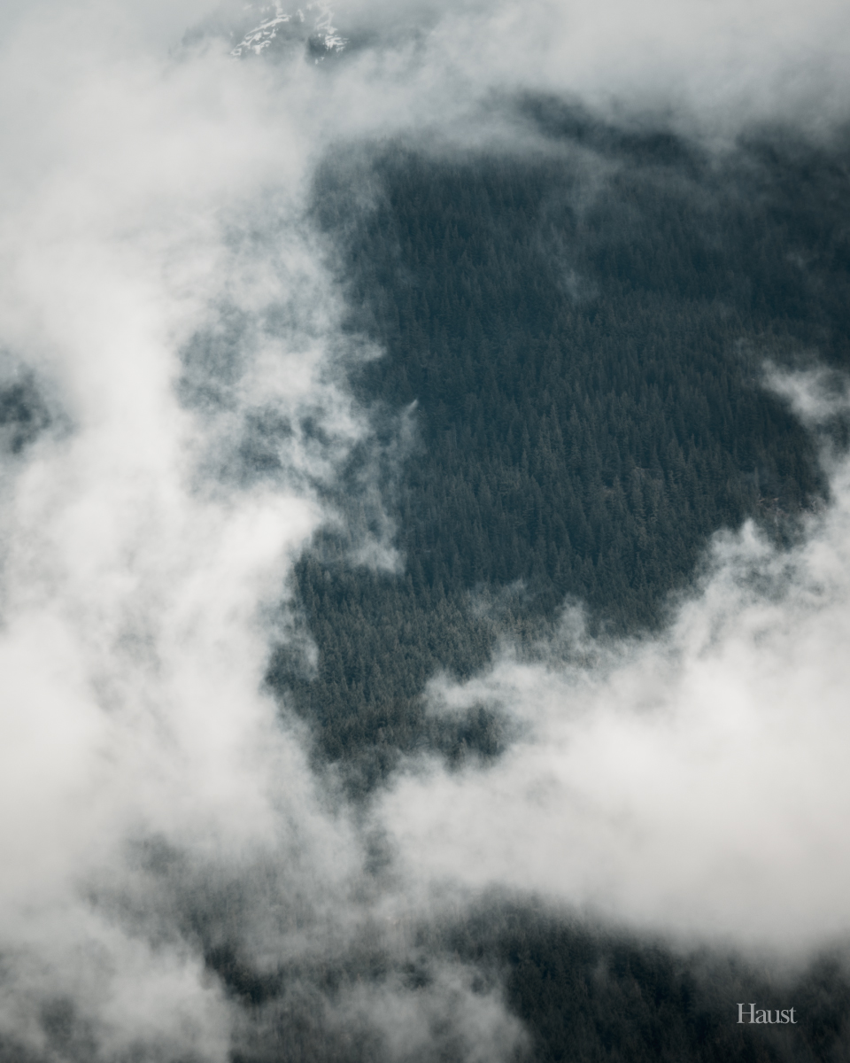 Clouds across the North Shore Mountains. 📷

#nature #NaturePhotography #photographer #photography #photooftheday #PhotographyIsArt #forest #clouds #northvancouver #bc #BritishColumbia #pacificnorthwest #sundayvibes #landscapephotography #skyphotography #vancouver