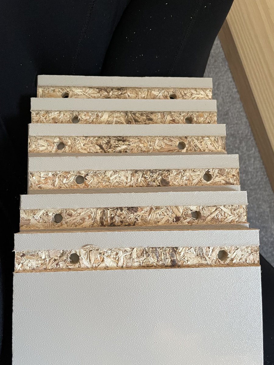 Rachel Rodriguez tweet media