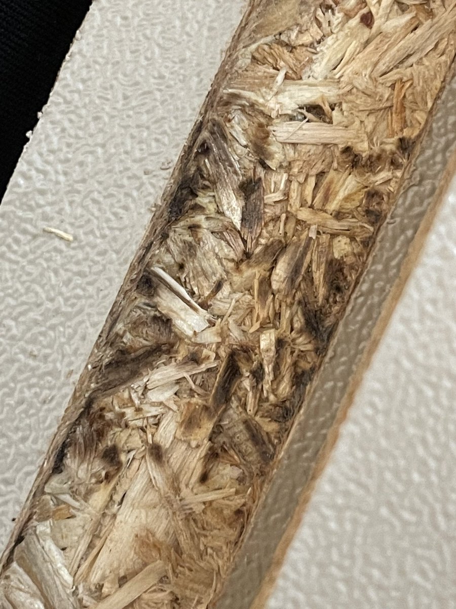 Rachel Rodriguez tweet media