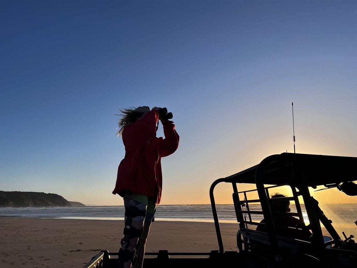 Perranporth SLSC tweet media