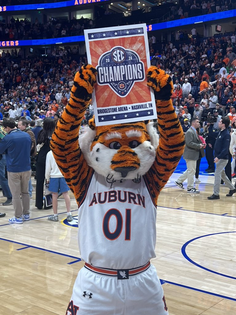 AuburnMemes's tweet photo. SEC CHAMPIONS!!!!!!!! https://t.co/YvipWFeb30