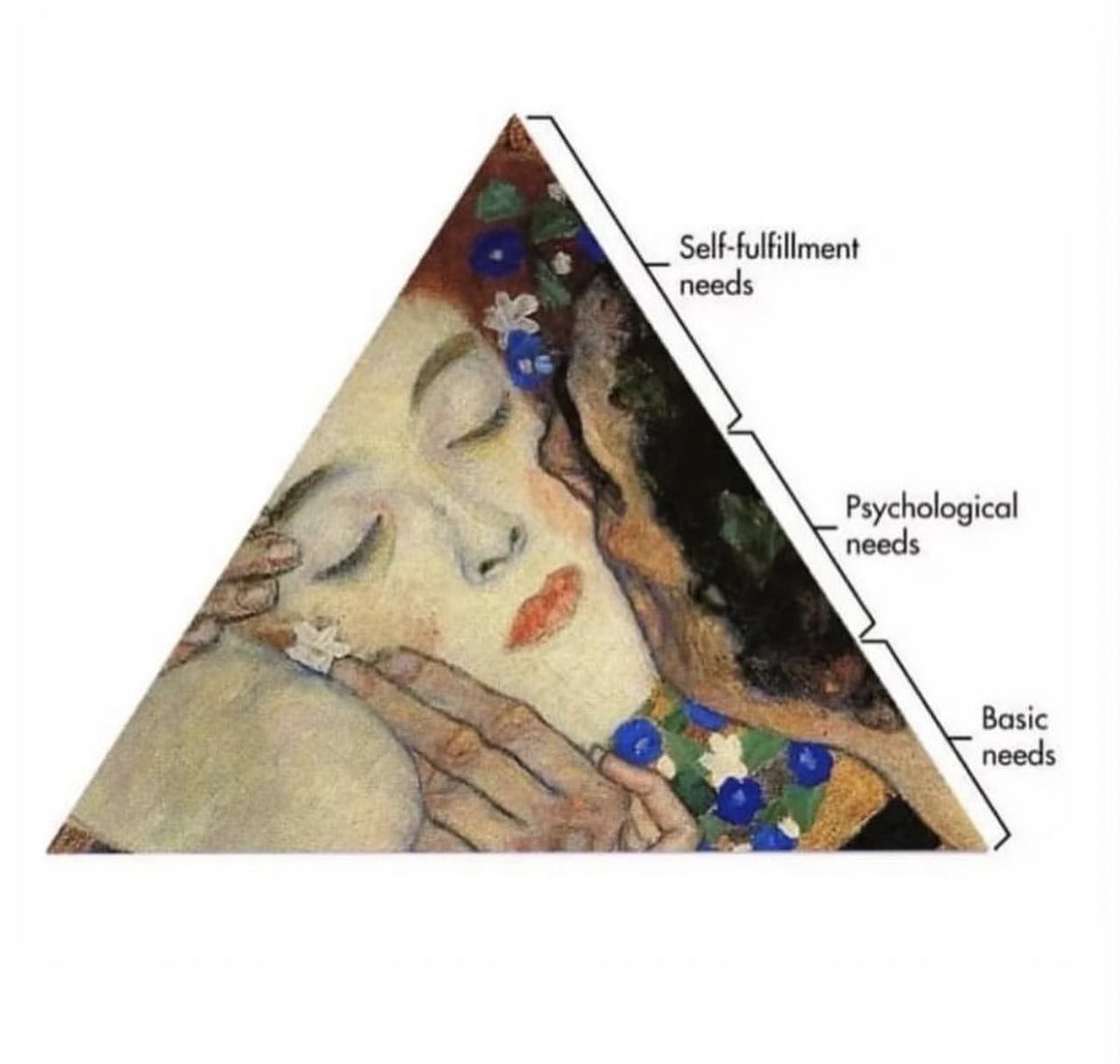 whotfisjovana's tweet image. 