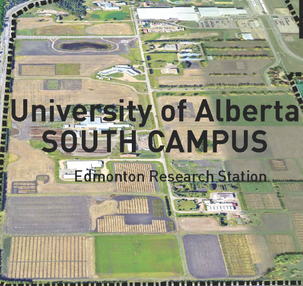 🌾Mark your calendars and help spread the word🌾

University of Alberta Annual Field Day - July 18, 2024

Our Crop Unit of <a href="/UofAALES/">UAlberta Faculty of ALES</a> will showcase wheat variety development, agronomy &amp; soil science research at South Campus (Edmonton Research Station) + St. Albert Research Farms.
