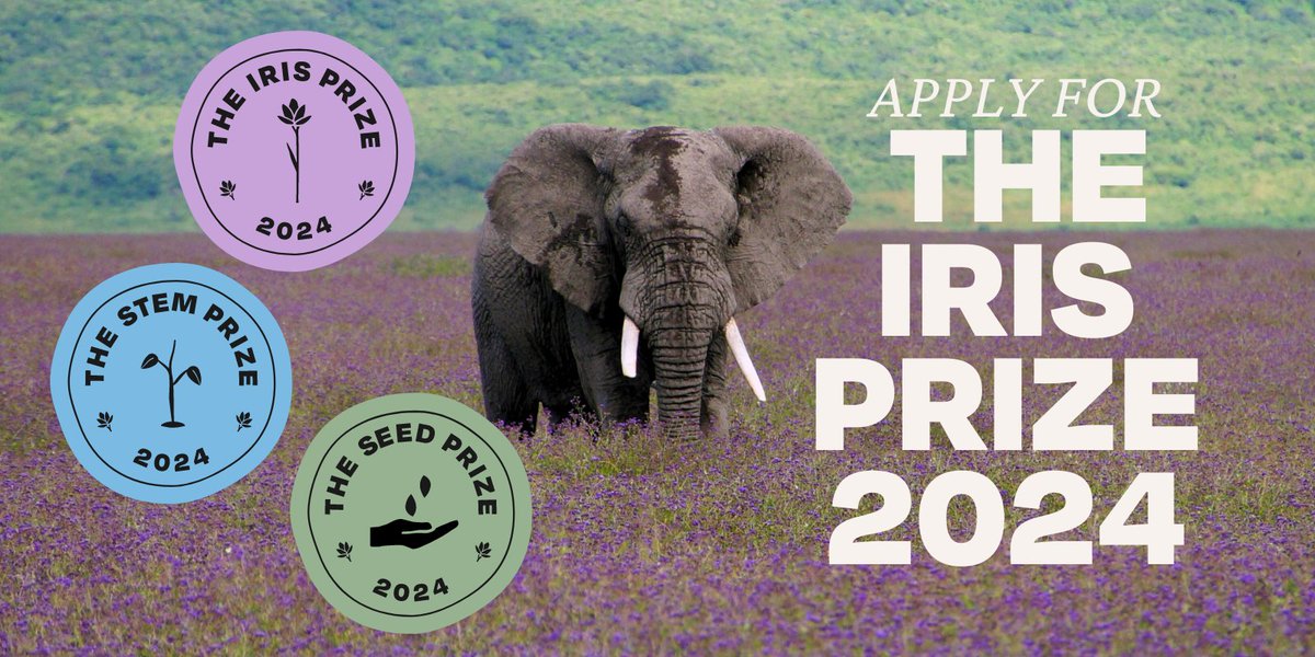 Apply for The Iris Project Prize 2024! 🌱
Empowering young leaders aged 14-24 to protect and restore nature worldwide. Apply now for funding and support! Deadline: April 30

Link shorturl.at/hsxL7

#YouthLeadership #EnvironmentalAction #IrisProject2024 @theiris_project