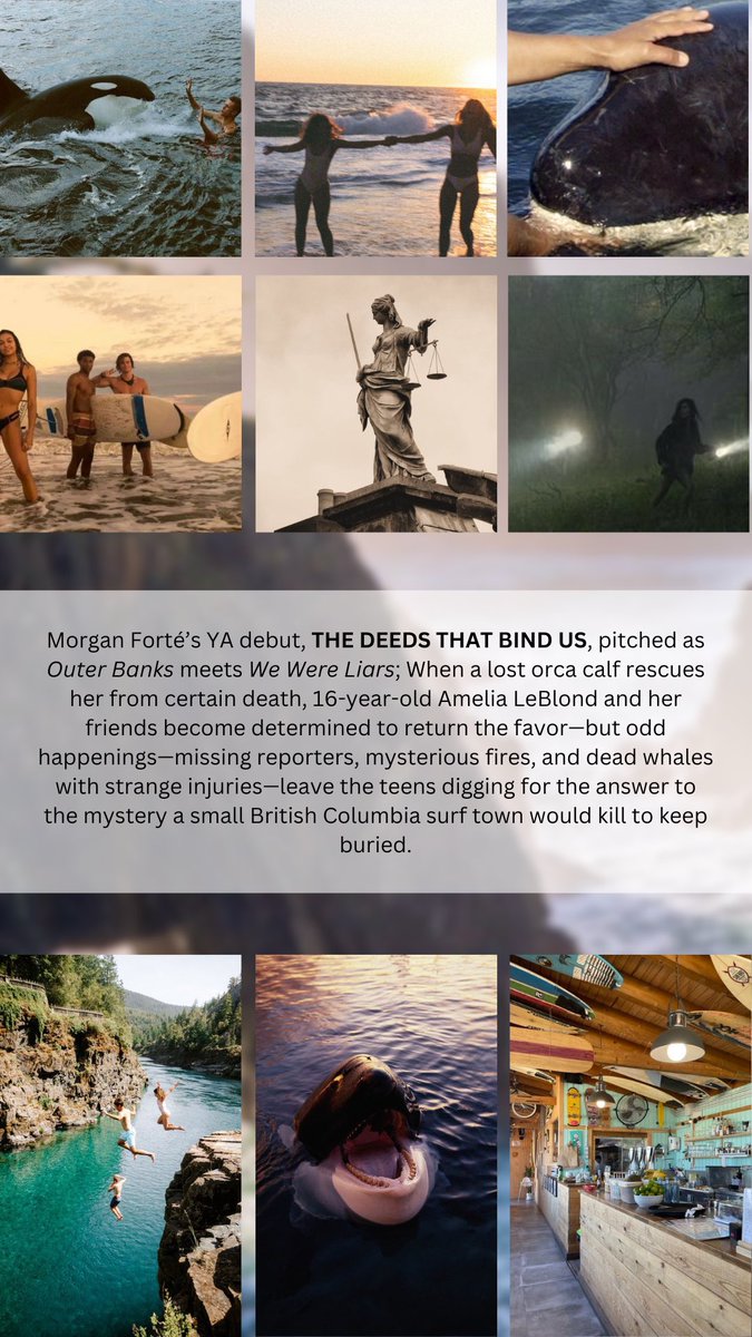 Morgan Forté (Updates) tweet media