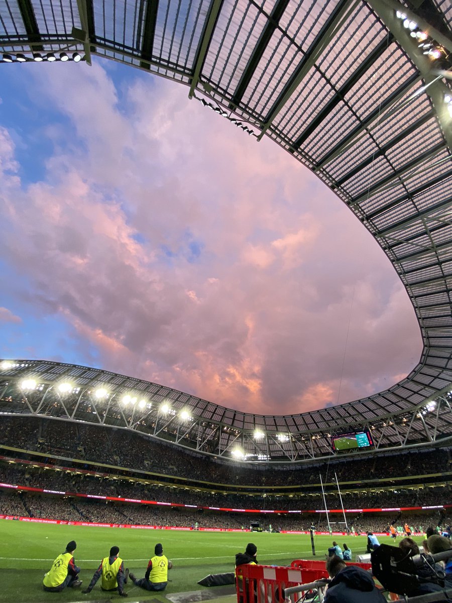 Naoise Collins tweet media