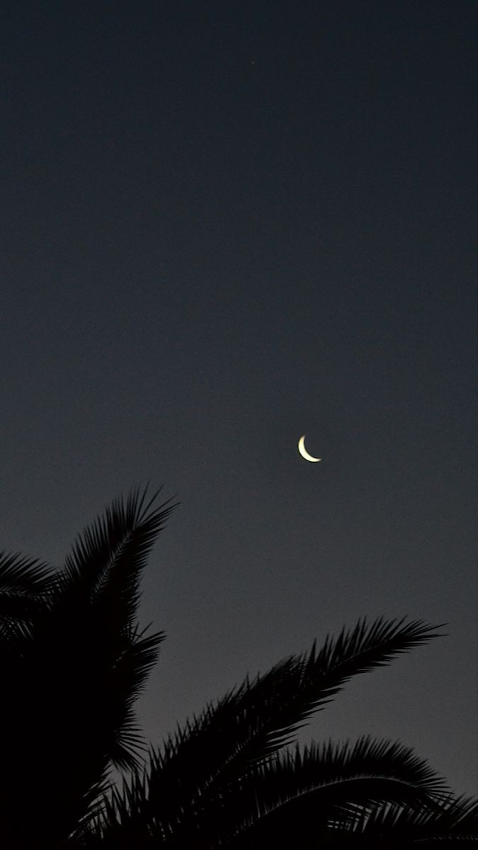 Good night my X family have sweet dreams...