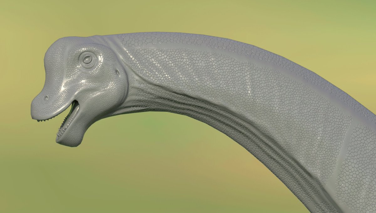 Dinosauria_RLSM's tweet photo. Finally, some small teasers for what's to come in the future. Brachiosaurus is just about finished in its 3D modelling phase, MrTroodon as been producing exceptional work as usual, Camara has been going through some more movement animations thanks to our talented Teo (There will be much more content for these guys in future updates, stay tuned!)