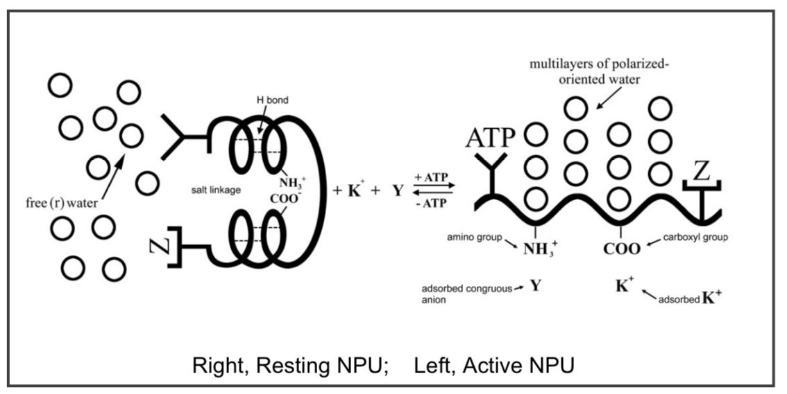 anabology tweet media