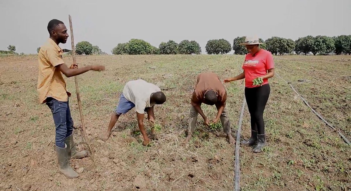 EnyonamManye's tweet image. The future of our 🌏 is hanging by a thread, but it’s not too late to change course if we take bold #ClimateActions.

@CGIARclimate @CGIARAfrica @bankimooncentre @UNFPAGhana @FAOFFKP